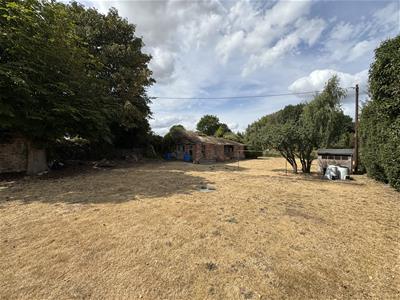 Picture 19